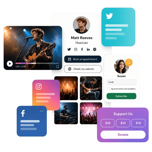 Example of a Linkjoy page for a professional musician